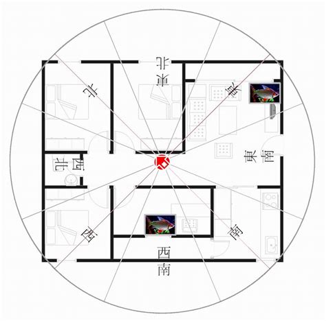 西南朝東北|【坐西南朝東北風水】坐西南朝東北風水解析：。